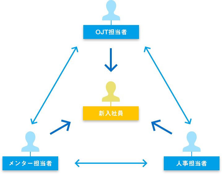 新入社員育成体系