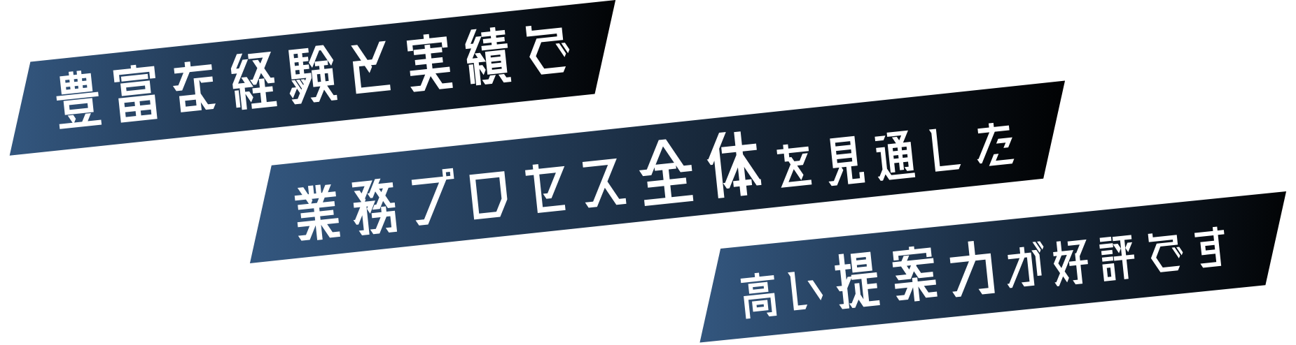 豊富な経験と実績で業務プロセス全体を見通した高い提案力が好評です